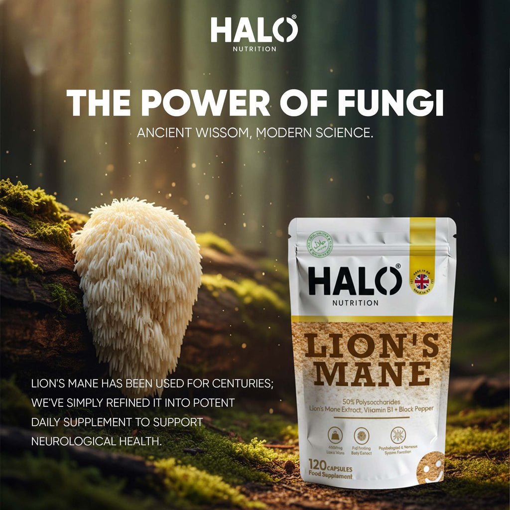 Halo Nutrition - Lions Mane Mushroom Extract Capsules 10,000mg 240mg Polysaccharides Strong Vegan