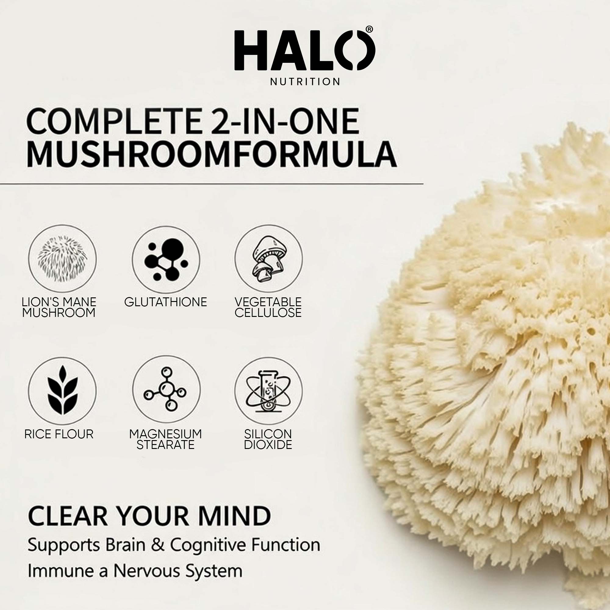 Halo Nutrition - Lions Mane Mushroom Extract Capsules 10,000mg 240mg Polysaccharides Strong Vegan